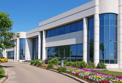 短視頻共同體構(gòu)建-成都玉竹教育咨詢(xún):教育咨詢(xún)
